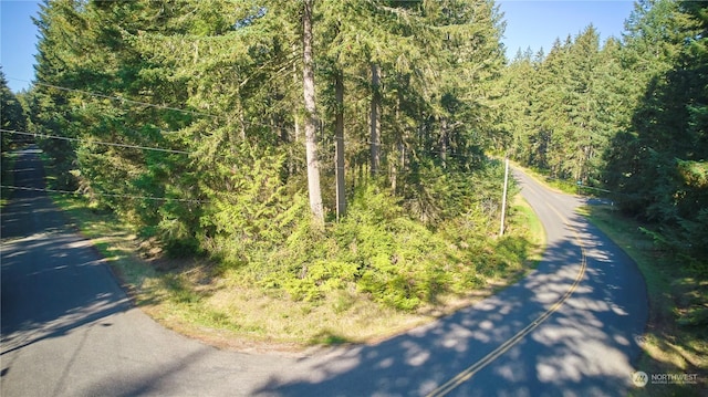 10423 Lake Josephine Blvd, Anderson Island, WA 98303