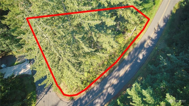 10423 Lake Josephine Blvd, Anderson Island, WA 98303