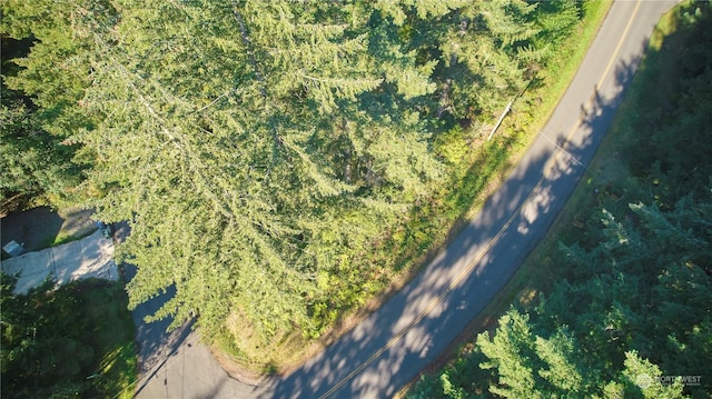 10423 Lake Josephine Blvd, Anderson Island, WA 98303