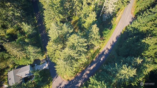 10423 Lake Josephine Blvd, Anderson Island, WA 98303