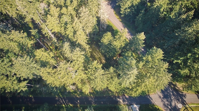 10423 Lake Josephine Blvd, Anderson Island, WA 98303