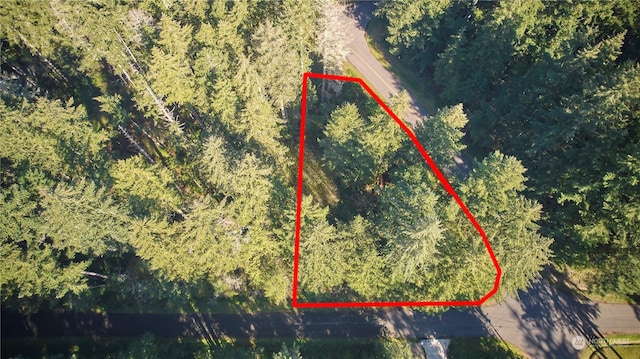 10423 Lake Josephine Blvd, Anderson Island, WA 98303
