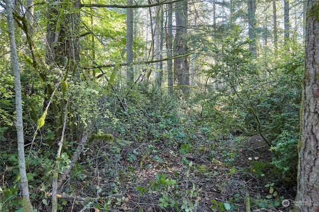 10217 Eckenstam Johnson Rd, Anderson Island, WA 98303
