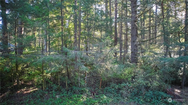 10217 Eckenstam Johnson Rd, Anderson Island, WA 98303
