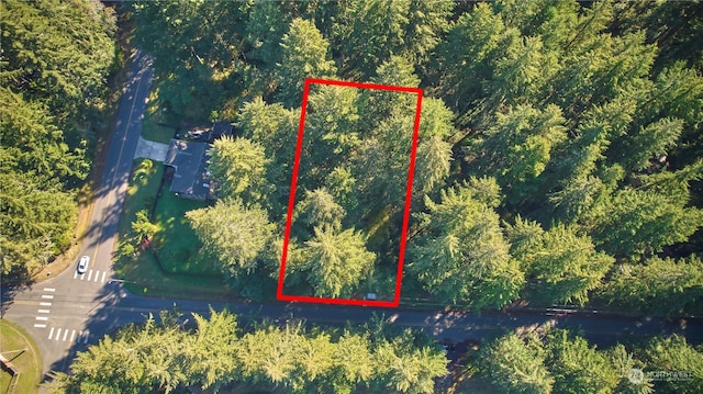 10217 Eckenstam Johnson Rd, Anderson Island, WA 98303