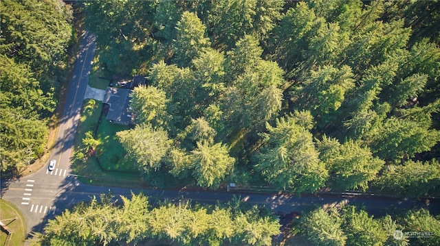 10217 Eckenstam Johnson Rd, Anderson Island, WA 98303