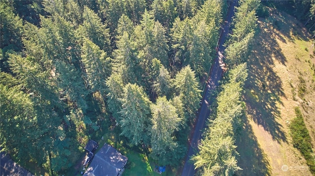 10217 Eckenstam Johnson Rd, Anderson Island, WA 98303