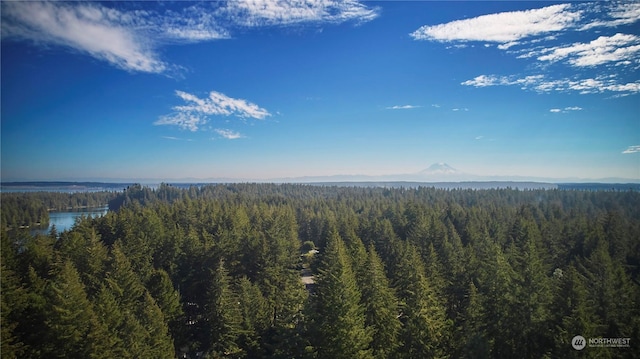 10217 Eckenstam Johnson Rd, Anderson Island, WA 98303