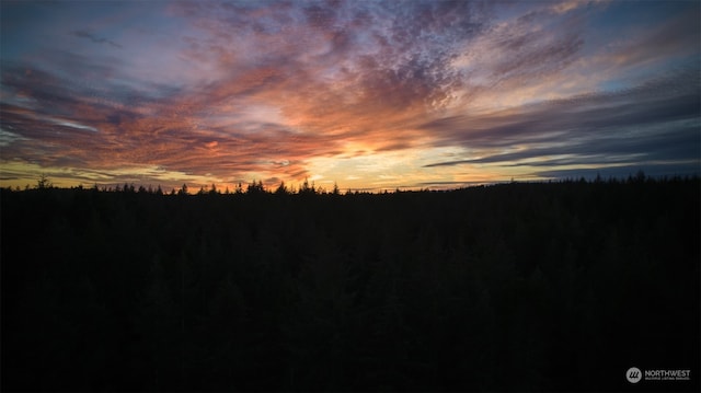 10217 Eckenstam Johnson Rd, Anderson Island, WA 98303