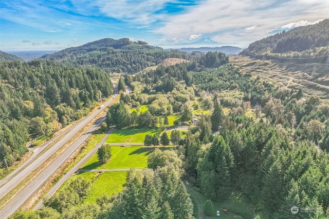 drone / aerial view featuring a mountain view