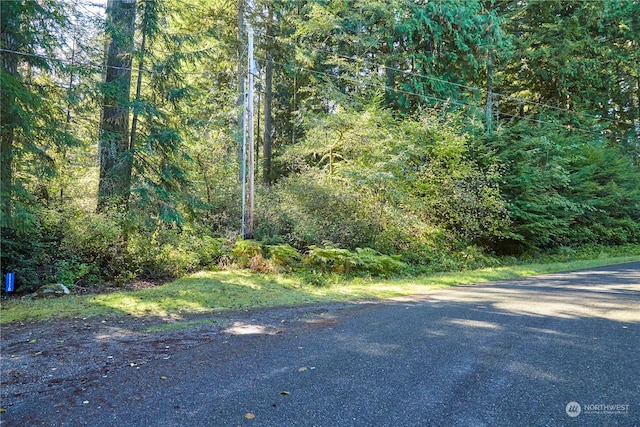 11114 106th St, Anderson Island WA, 98303 land for sale