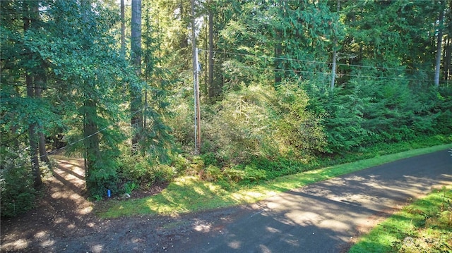 11114 106th St, Anderson Island, WA 98303