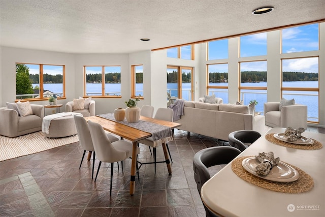 2210E Mason Lake Dr W, Grapeview, WA 98546 - dining area with a water view, a textured ceiling, and dark stone finish floors