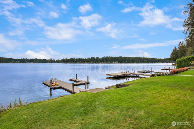 2210E Mason Lake Dr W, Grapeview, WA 98546 - dock area featuring a water view, a yard, and a forest view