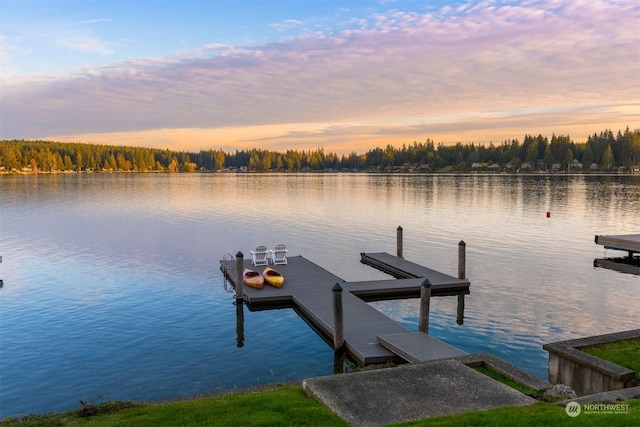 2210E Mason Lake Dr W, Grapeview, WA 98546 - dock area featuring a water view