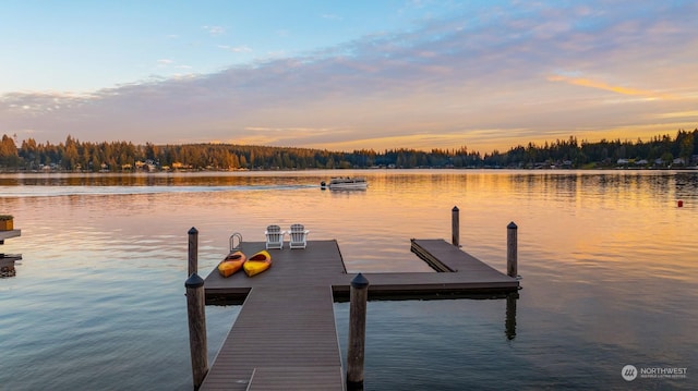 2210E Mason Lake Dr W, Grapeview, WA 98546 - dock with a water view