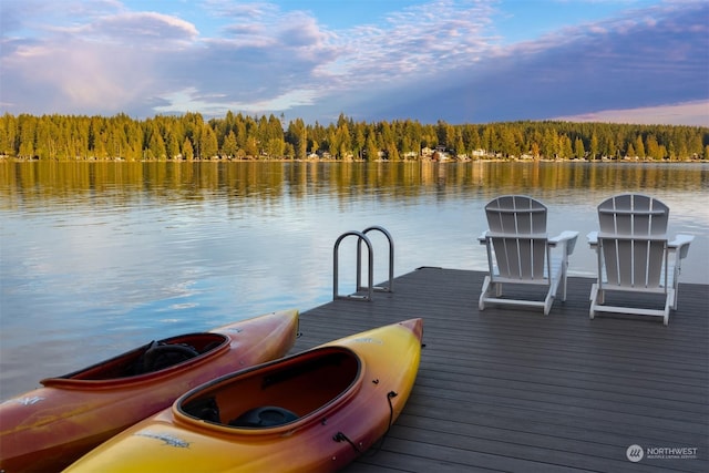 2210E Mason Lake Dr W, Grapeview, WA 98546 - dock area with a forest view and a water view