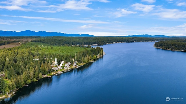 2210E Mason Lake Dr W, Grapeview, WA 98546 - aerial view of a forest and a water and mountain view
