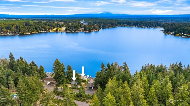 2210E Mason Lake Dr W, Grapeview, WA 98546 - aerial view of a heavily wooded area and a nearby body of water