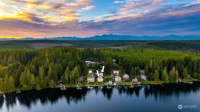 2210E Mason Lake Dr W, Grapeview, WA 98546 - aerial view of a forest and a water and mountain view