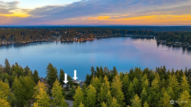 2210E Mason Lake Dr W, Grapeview, WA 98546 - water view featuring a heavily wooded area