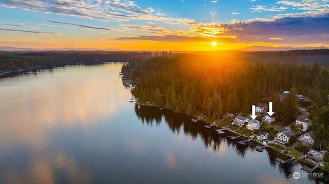 2210E Mason Lake Dr W, Grapeview, WA 98546 - water view with a forest