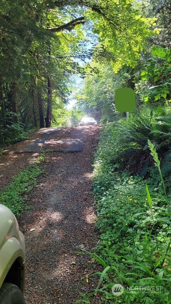 0 Cedar Creek Rd, Woodland, WA 98674 - photo 4