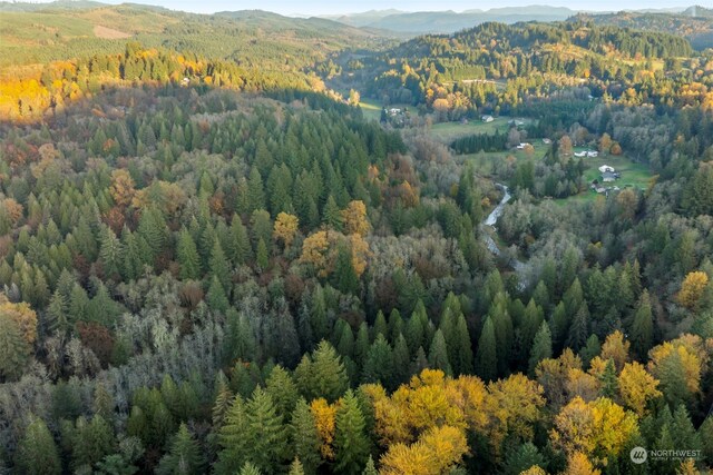 0 Cedar Creek Rd, Woodland, WA 98674 - photo 8