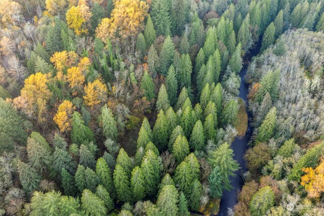 0 Cedar Creek Rd, Woodland, WA 98674 - photo 10