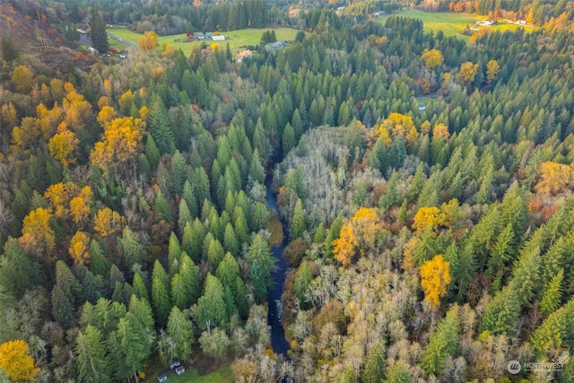 0 Cedar Creek Rd, Woodland, WA 98674 - photo 13