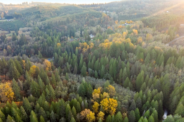 0 Cedar Creek Rd, Woodland, WA 98674 - photo 14