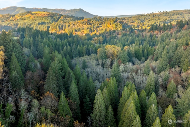 0 Cedar Creek Rd, Woodland, WA 98674 - photo 19