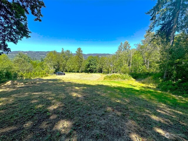 4008 NW 402nd St, Woodland, WA 98674 - photo 3