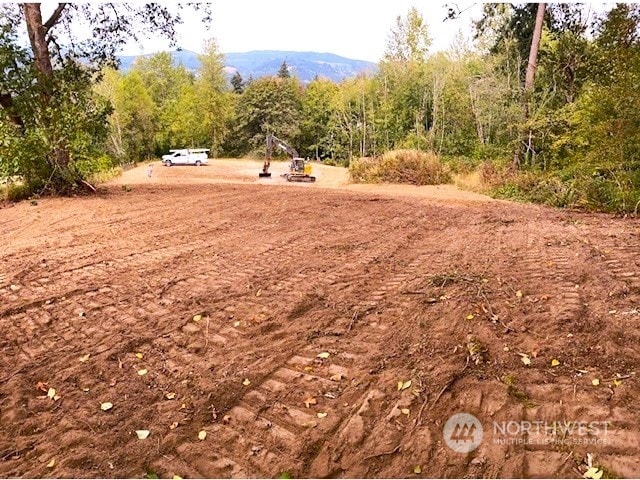 4008 NW 402nd St, Woodland, WA 98674 - photo 4