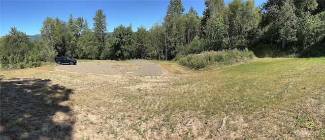 4008 NW 402nd St, Woodland, WA 98674 - photo 7