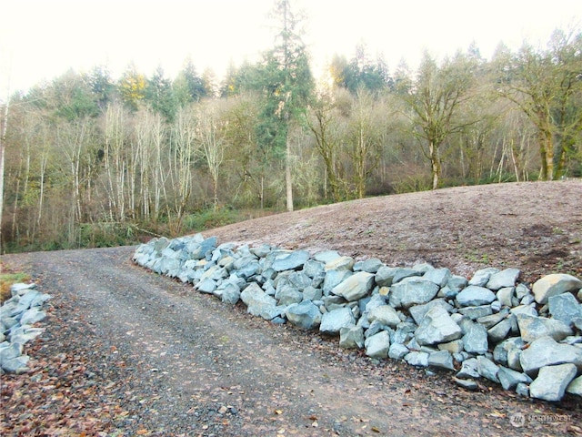 4008 NW 402nd St, Woodland, WA 98674 - photo 8