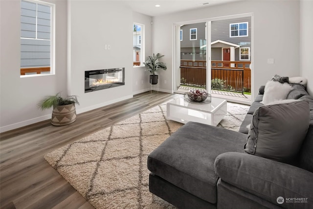 living room with hardwood / wood-style flooring