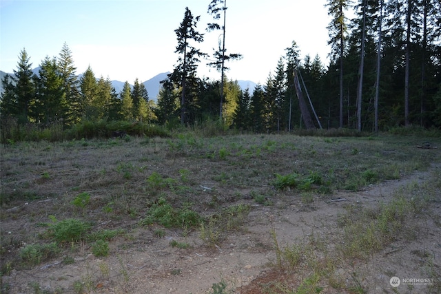 0 S Skate Creek Rd Lot 1, Packwood WA, 98361 land for sale