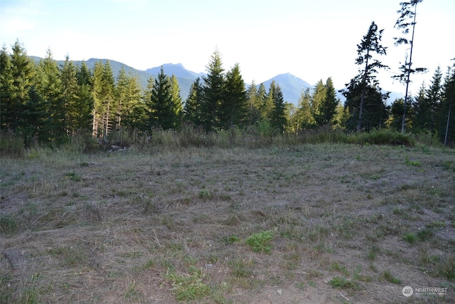 Listing photo 3 for 0 S Skate Creek Rd Lot 1, Packwood WA 98361