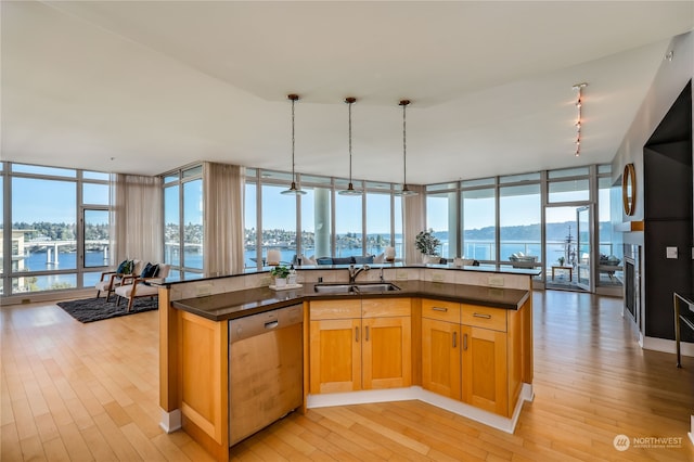 kitchen with sink, floor to ceiling windows, stainless steel dishwasher, and light hardwood / wood-style floors