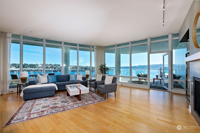 living room with light wood-type flooring, floor to ceiling windows, and a wealth of natural light