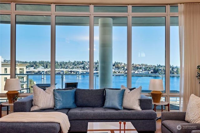 living room with a water view and a healthy amount of sunlight