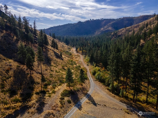 4180 Washington Crk, Chelan, WA 98816 - photo 3