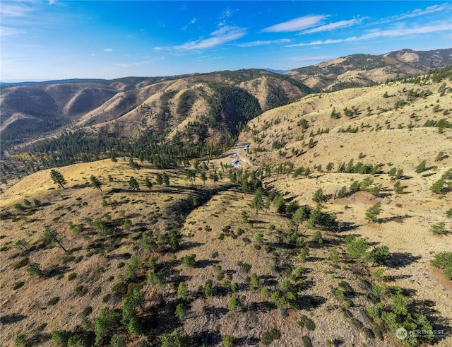 4180 Washington Crk, Chelan, WA 98816 - photo 36