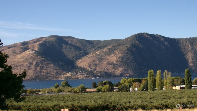 view of mountain feature with a rural view and a water view