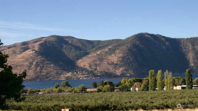 1555 Swartout Rd, Manson, WA 98831 - view of mountain background featuring a nearby body of water