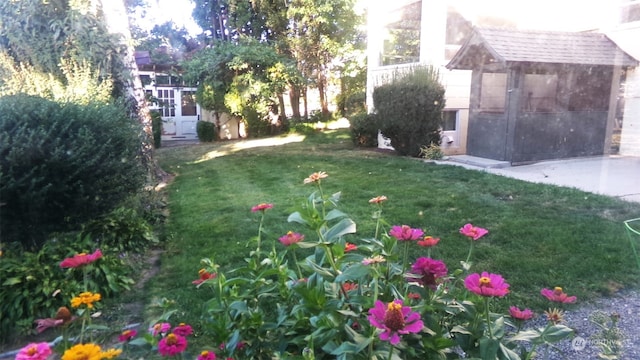 view of yard with an outbuilding