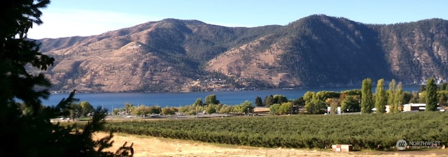 view of mountain feature with a water view