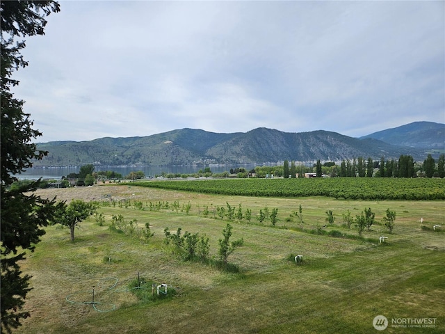 1555 Swartout Rd, Manson, WA 98831 - view of mountain background with rural landscape