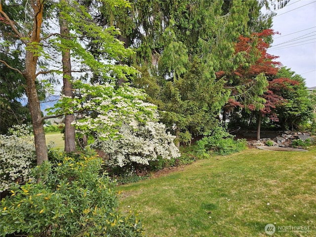 1555 Swartout Rd, Manson, WA 98831 - view of green lawn